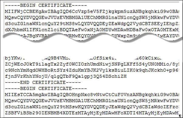 Exemplo de arquivo de certificado com informações em uma única linha e caracteres de nova linha incorporados