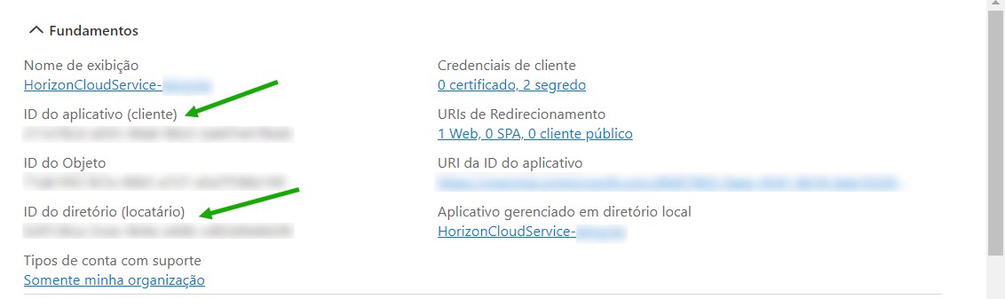 Captura de tela que ilustra os detalhes essenciais que o portal do Azure exibe para o registro de aplicativo de exemplo com o nome hcs-poc1.