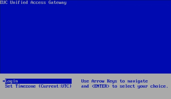 Tela do console mostrando o EUC Unified Access Gateway