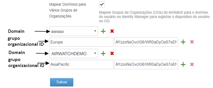 Captura de tela mostrando dois domínios mapeados para diferentes grupos organizacionais com chave de REST API de administrador diferente