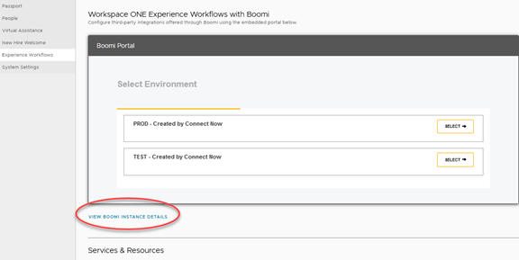 Captura de tela da página Experience Workflows mostrando a seção DETALHES DA INSTÂNCIA DO BOOMI