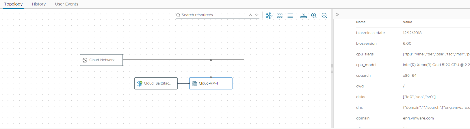 Captura de tela de dados de grain no Cloud Assembly