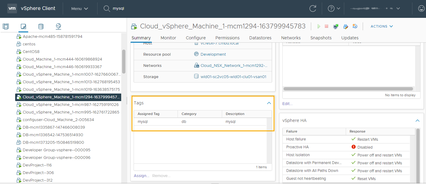 Captura de tela da máquina virtual no vCenter Server com o painel Tags destacado.