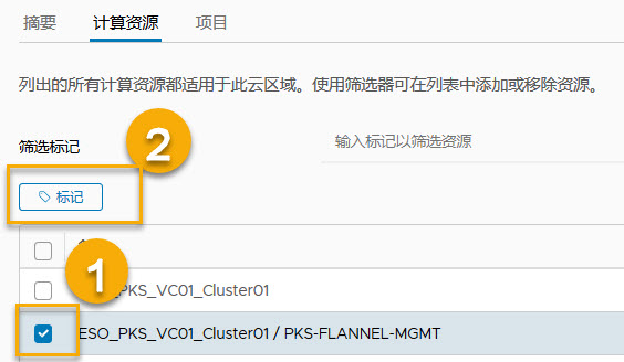向 vmc 计算资源和云区域 1 添加标记