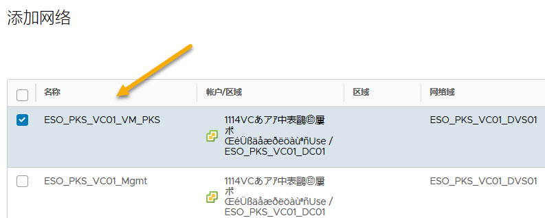 选择此屏幕中显示的名为 sddc-cgw-network-1 的网络。