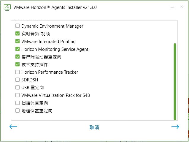 在具有 RDSH 类型的操作系统的虚拟机上运行 Horizon Agents Installer 时显示的选项屏幕剩余部分的屏幕截图