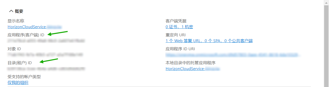 此屏幕截图显示了 Azure 门户对我们名为 hcs-poc1 的示例应用程序注册显示的基本详细信息。