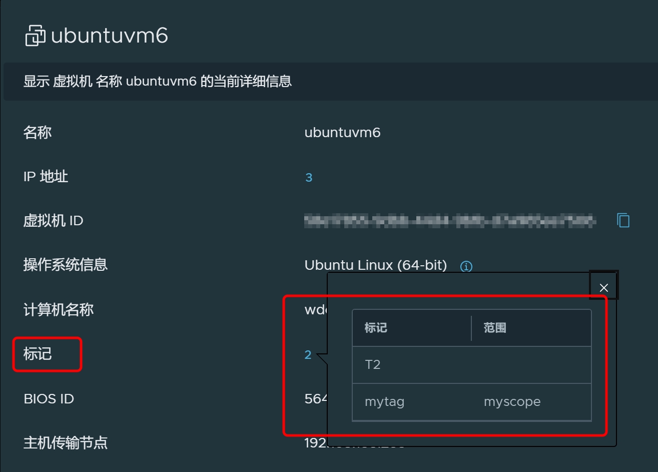 VM information dialog box displaying tag assignment details.