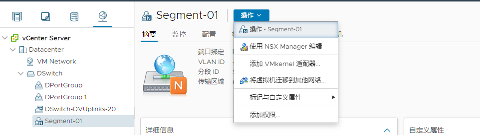 NSX 分段在 VMware vCenter 中作为 NSX 对象实现。