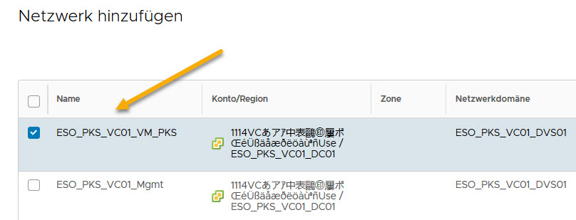 Wählen Sie das Netzwerk mit der Bezeichnung „sddc-cgw-network-1“ aus, das auf diesem Bildschirm angezeigt wird.