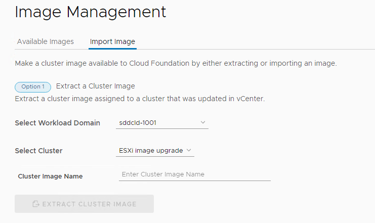 Abschnitt „Option 1“ zum Importieren eines Cluster-Images mit ausgewählter Arbeitslastdomäne und ausgewähltem Cluster