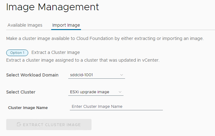 Abschnitt „Option 1“ zum Importieren eines Cluster-Images mit ausgewählter Arbeitslastdomäne und ausgewähltem Cluster