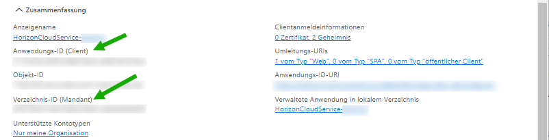 Screenshot, der die wesentlichen Details zeigt, die das Azure-Portal für unsere Beispiel-App-Registrierung mit dem Namen „hcs-poc1“ anzeigt.