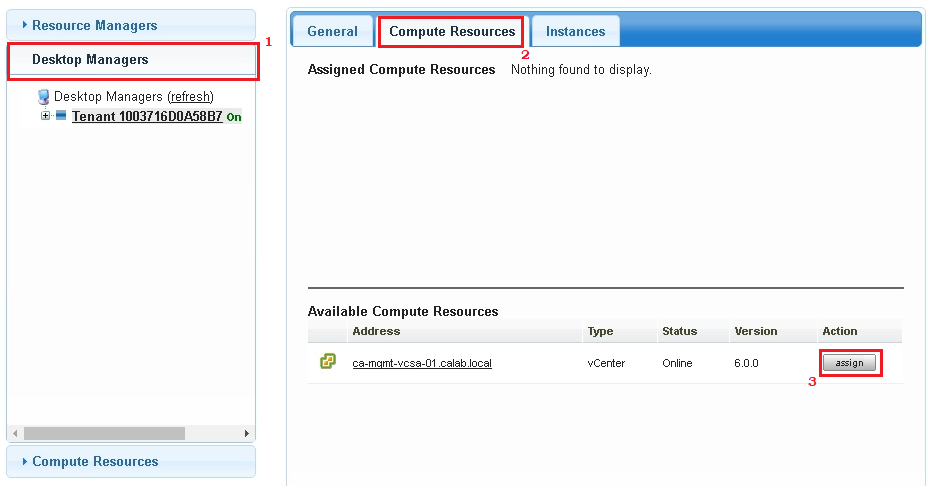 Desktop-Manager-Abschnitt im Menü „Service-Grid“ mit Registerkarte „Computing-Ressourcen“