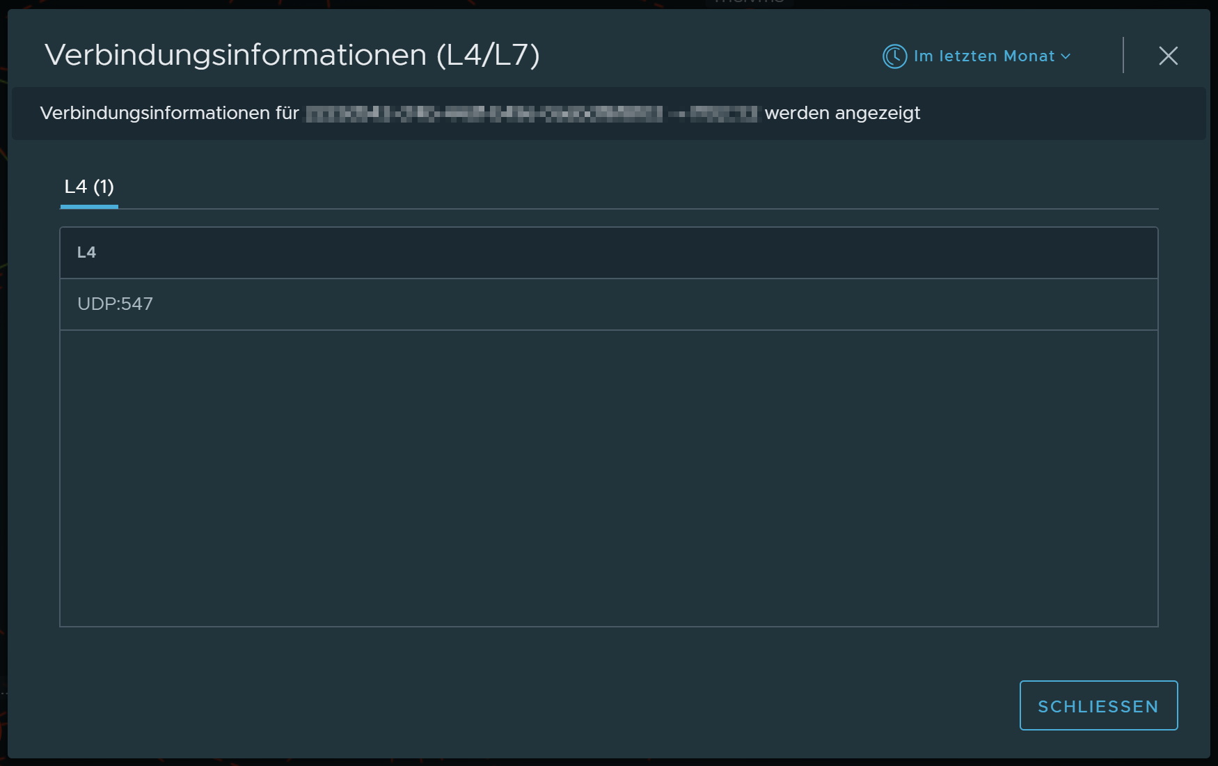 VM flow connection info