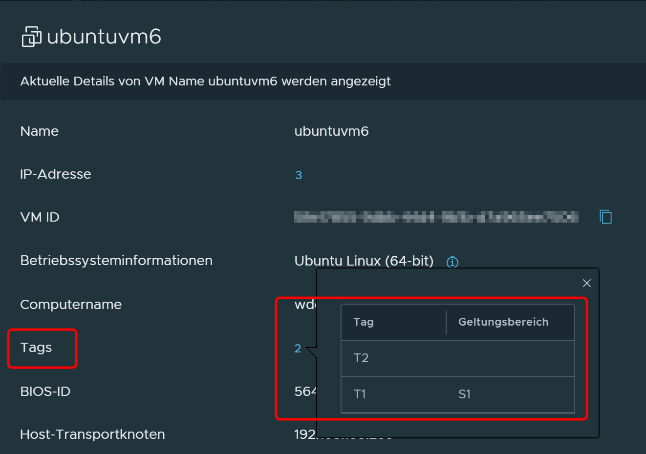 VM information dialog box displaying tag assignment details.