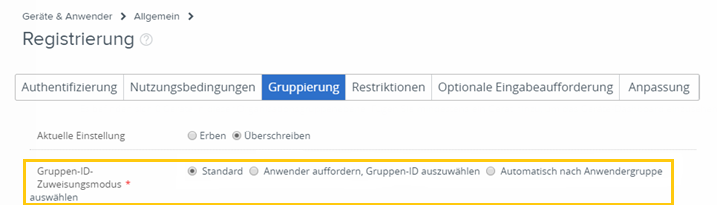 Screenshot der Registrierungsseite mit der Registerkarte „Gruppierung“