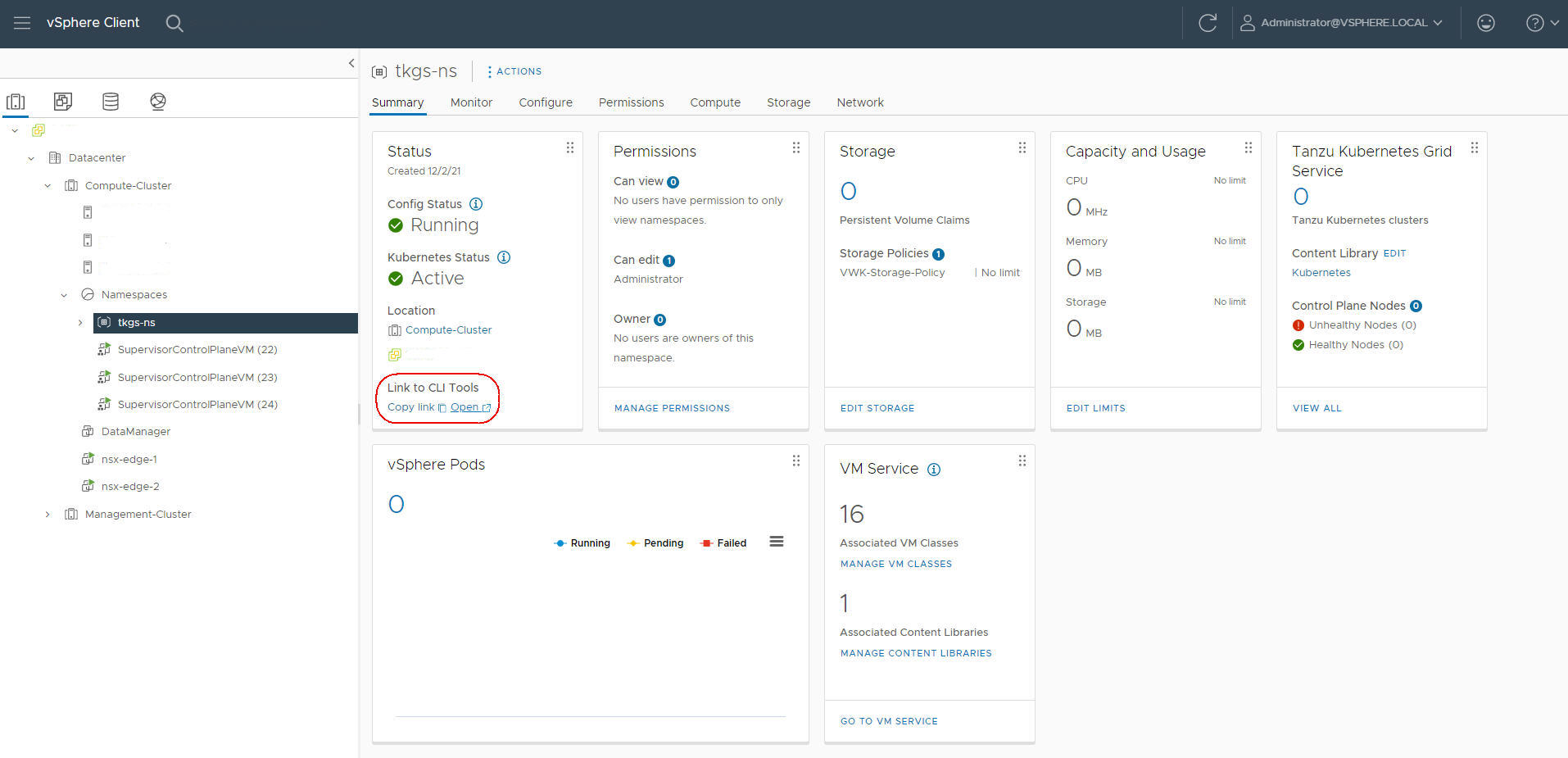 Der Konfigurationsbereich „vSphere Namespace“, in dem der Link zu den CLI-Tools eingekreist ist.