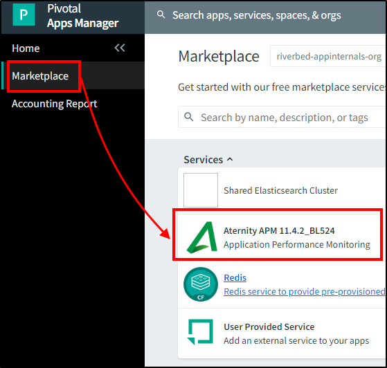 Installing and Configuring APM