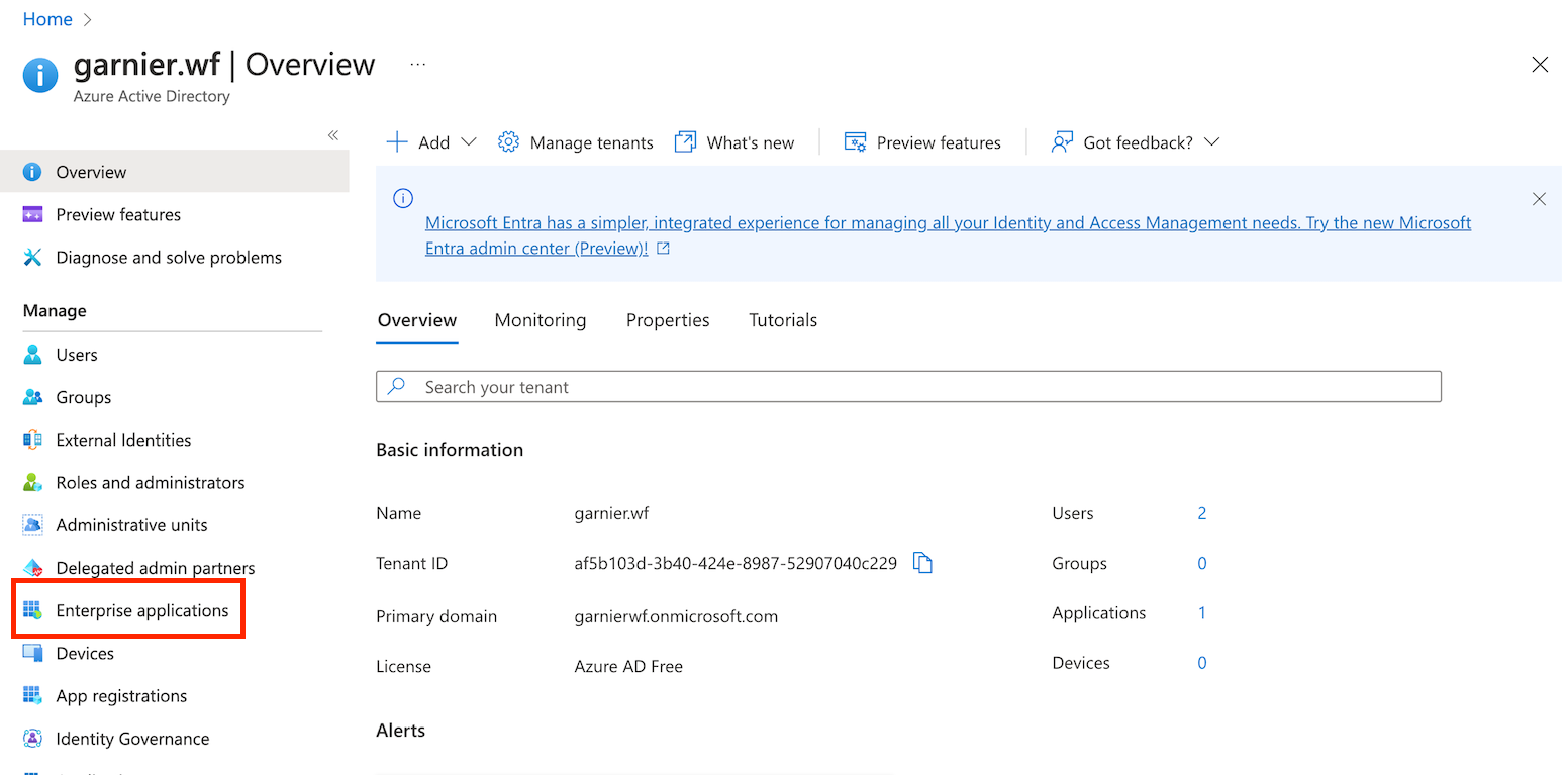 A red box frames the link Enterprise application.