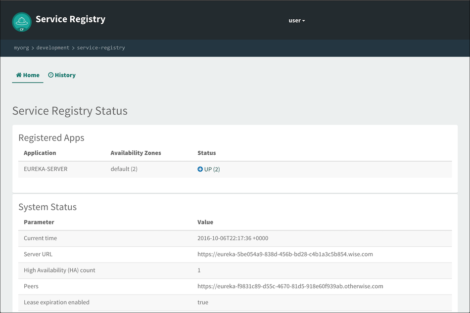 Service Registry Status, Registered Apps and System Status