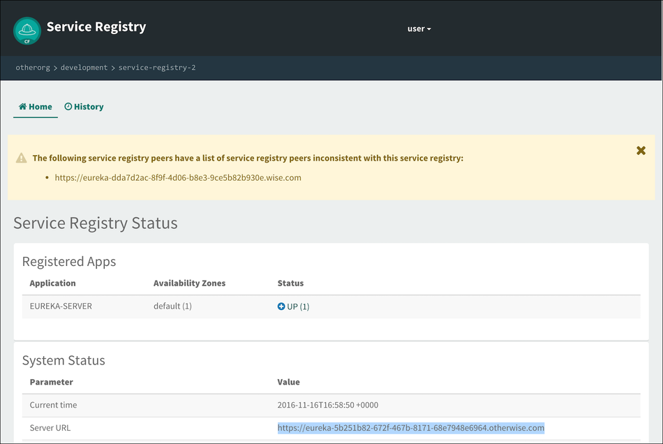Copy Second Service Registry Server URL