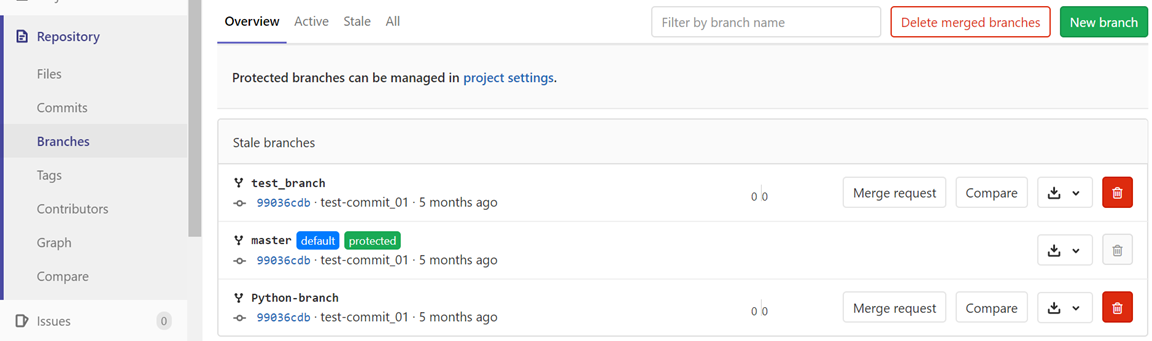 The GitLab interface displays the Overview tab on the Branches page, showing the recently created branch.