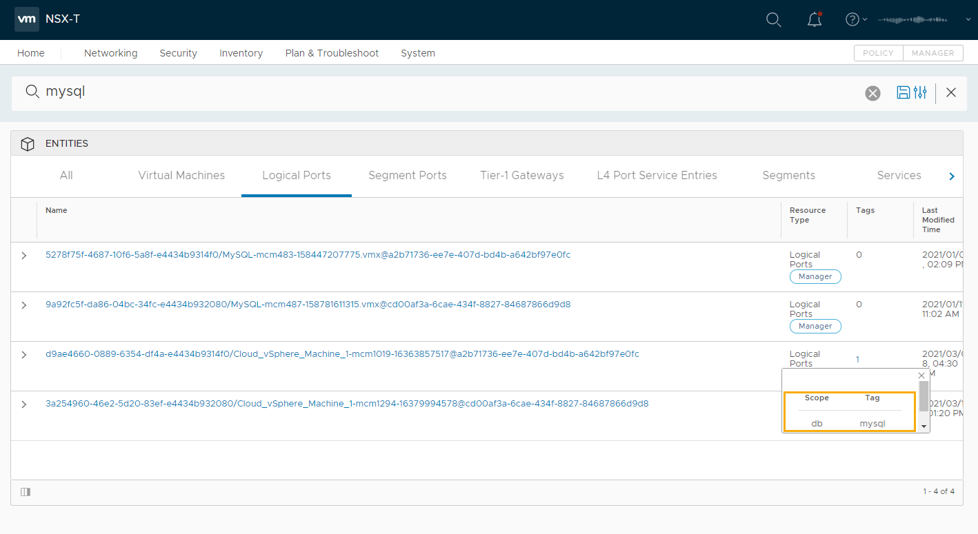 The logical port for the virtual machine with tags highlighted.