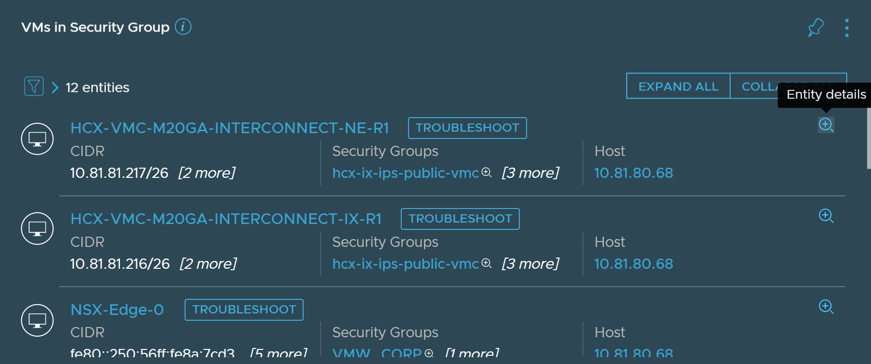 VMs that are part of the same security group displaying details such as host and CIDR.