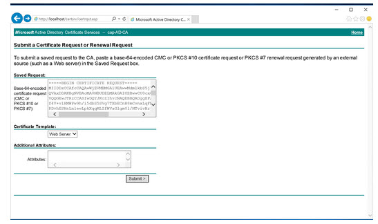 Screen shows the .pem content pasted into the form and the Submit key as described in the text.