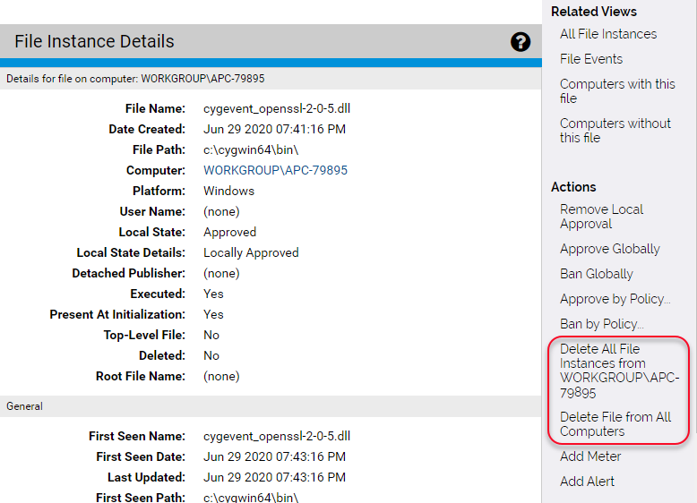 The File Instance Details page with the Delete fields highlighted