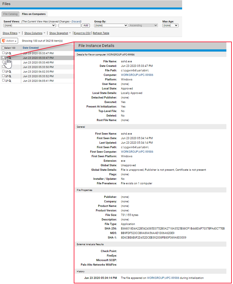 The File Instance Details page