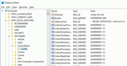 Example Windows Registry Entry for Carbon Black EDR