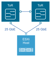 An ESXi host is connected to two ToRs over a 25-Gb connection.