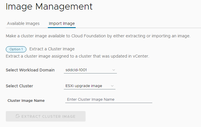 Option 1 section for importing a cluster image with workload domain and cluster selected