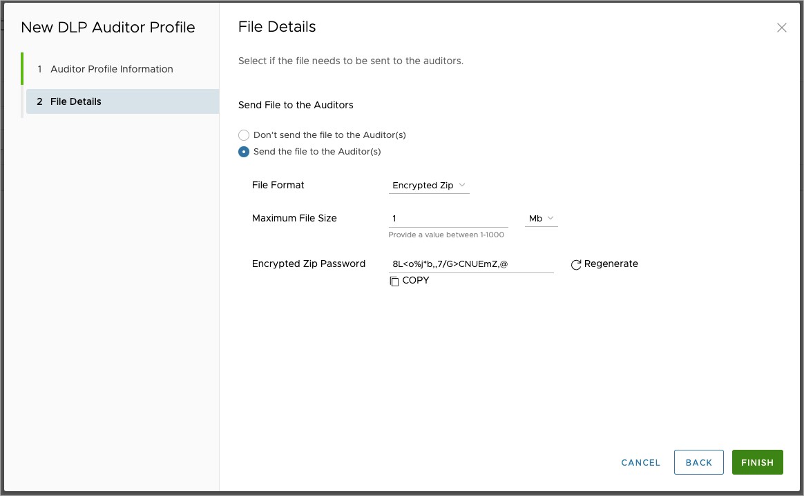 New DLP Auditor Profile, File Details configuration screen.