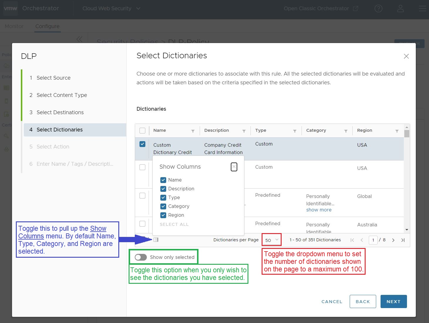 Select Dictionaries screen with explanations for several display configuration options.