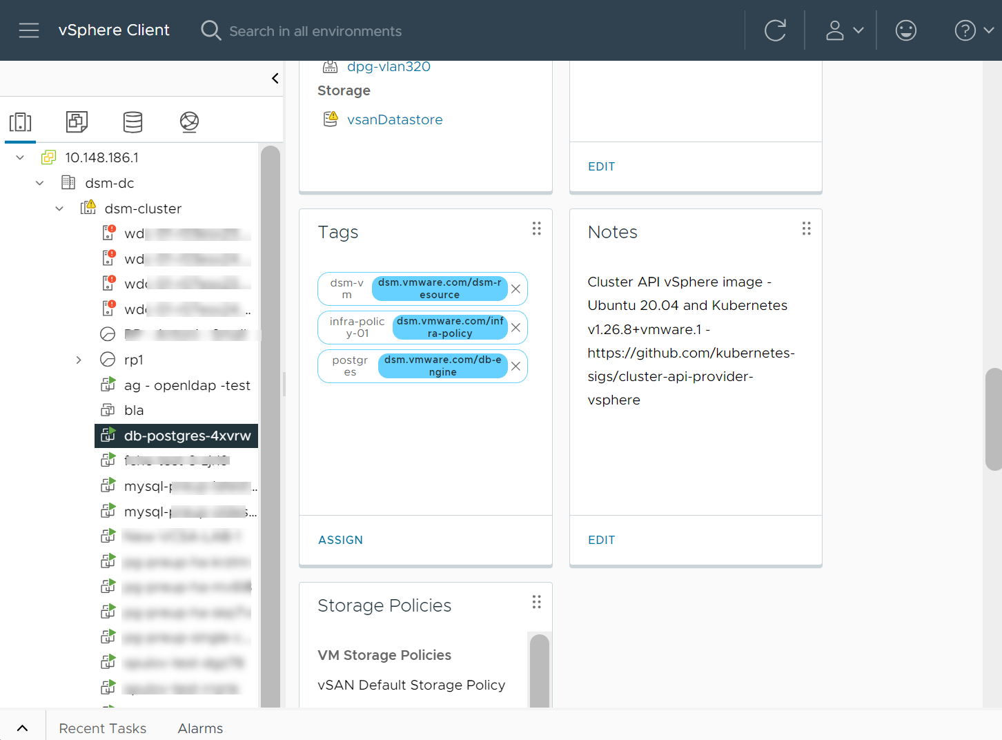 The vSphere Client shows tags assigned to the VMs managed by DSM.