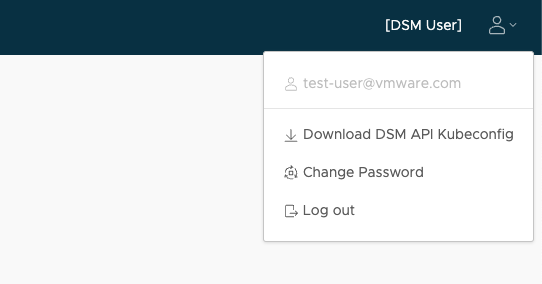 Access DSM API.