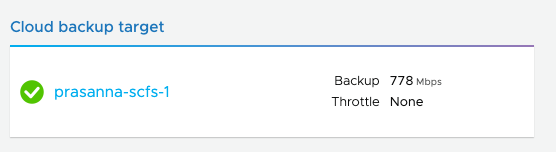 The protected site cloud backup target panel shows replication throughput while the task is running.