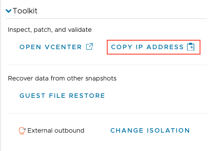 VM page Summay tab with link to copy VM IP address