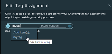 Edit Tag Assignment dialog box with a new tag selected for the assignment.