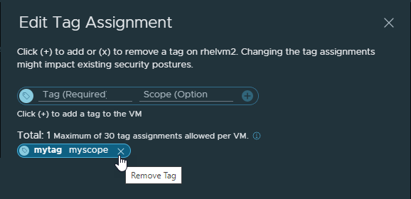 Edit Tag Assignment dialog box with assigned tag selected for removal.