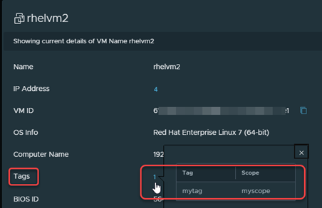 VM information dialog box displaying tag assignment details.