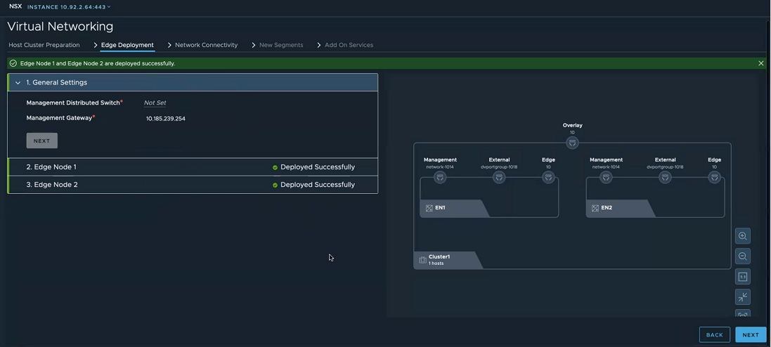 NSX Edge nodes are realized after deployment is complete.