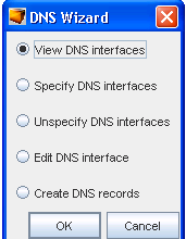 dnswizard1