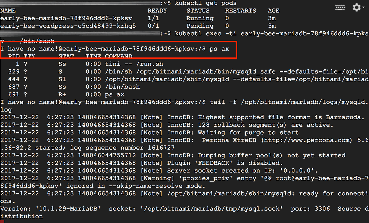 Container process and logs