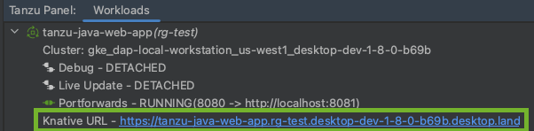 Screenshot of the Workloads panel with the Knative URL highlighted under the tanzu-java-web-app.