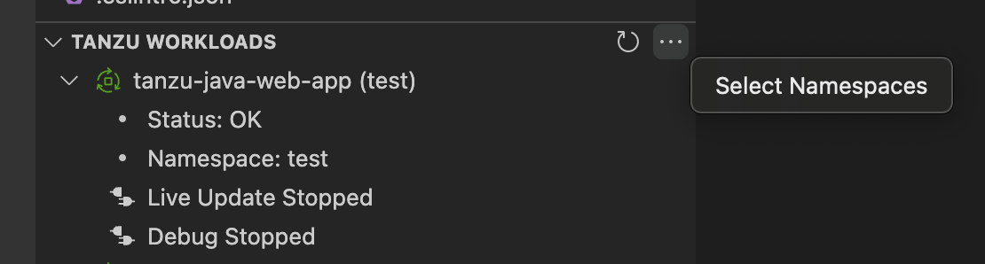 VS Code Tanzu Workloads Panel additional options menu.