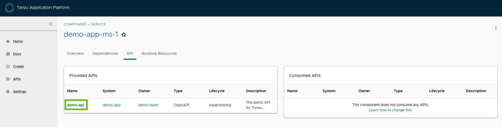 The VIEW API page. The API named demo dash api is framed in red.